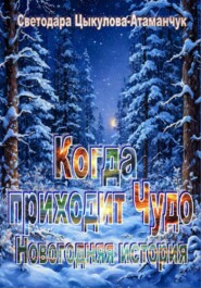 Когда приходит чудо. Новогодняя история