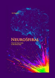 NeuroSfiral. From the Great Limits to the Great Unity