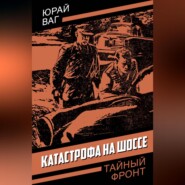 Катастрофа на шоссе