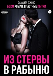БДСМ роман. Властные пытки. Из стервы в рабыню