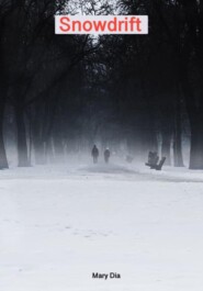 Snowdrift