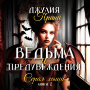 Ведьма и предубеждения. Книга 2. Серая Мышь