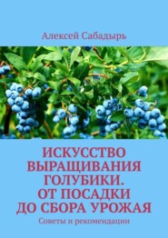 Искусство выращивания голубики. От посадки до сбора урожая. Советы и рекомендации