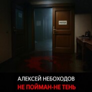 Не пойман – не тень