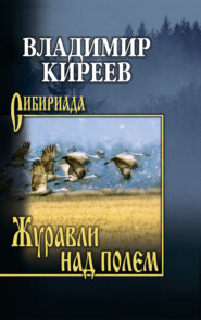 Журавли над полем