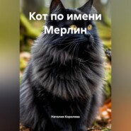 Кот по имени Мерлин.
