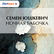 Ночная бабочка