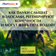 Как пауки слышат волосами, регенерируют конечности и могут жить под водой?