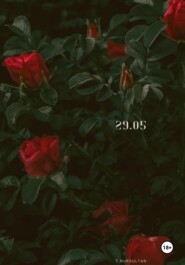 29.05