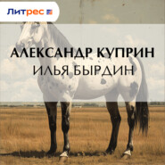 Илья Бырдин