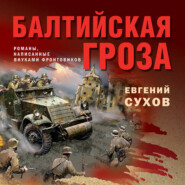 Балтийская гроза