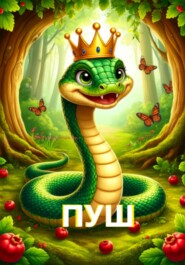 Пуш