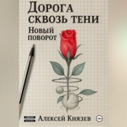 Дорога сквозь тени. Новый поворот