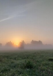 Комплимент