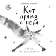 Кот прямо с неба