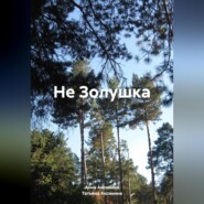 Не Золушка