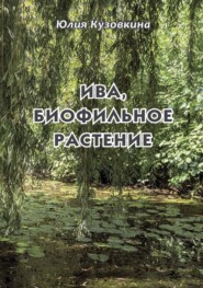 Ива, биофильное растение