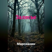 Залесье
