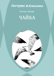 Чайка