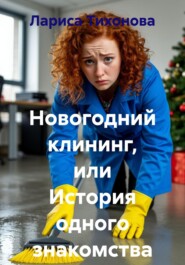 Новогодний клининг, или История одного знакомства