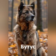 Бутус