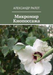 Микромир Кнопоссажа