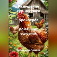 Разведение кур несушек и бройлеров в домашних условиях