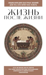 Жизнь после жизни. Для тех, кто хочет все успеть