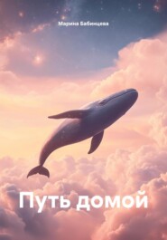 Путь домой