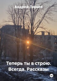 Теперь ты в строю. Всегда. Рассказы