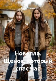 Новелла. Щенок, который спас нас