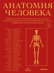 Анатомия человека. Эксклюзивное издание с 50-летней историей. Том 1
