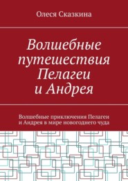 Волшебные путешествия Пелагеи и Андрея. Волшебные приключения Пелагеи и Андрея в мире новогоднего чуда