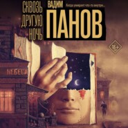 Сквозь другую ночь