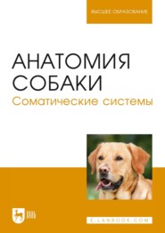 Анатомия собаки. Соматические системы. Учебник для вузов. 4-е издание, стереотипное