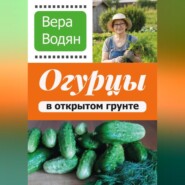 Вера Водян. Огурцы в открытом грунте