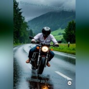 Семейные тайны. Книга 13. «Мышка» из Мышкина