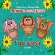 Опушка лесовушек. Гастроли
