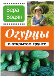 Огурцы в открытом грунте