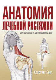 Анатомия лечебной растяжки. Быстрое избавление от боли и профилактика травм
