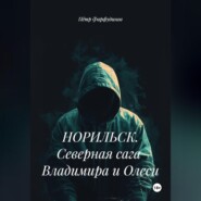 НОРИЛЬСК. Северная сага Владимира и Олеси
