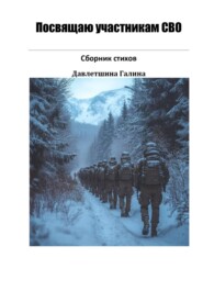 Стихи СВО