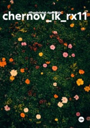 chernov_ik_rx11