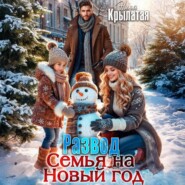 Развод. Семья на Новый год