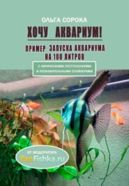 Хочу аквариум! Пример запуска аквариума на 100 литров