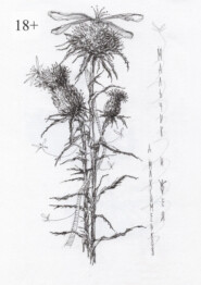 Мальчик и фея