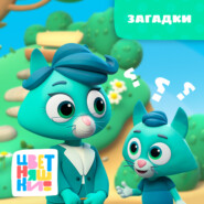 Загадки