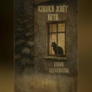 Кошка ждет лета
