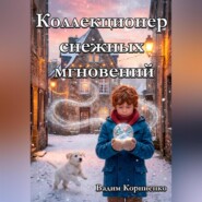 Коллекционер снежных мгновений