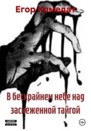 В бескрайнем небе над заснеженной тайгой